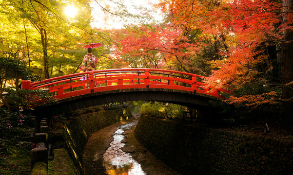 Asian traveler on Kimono traditional japanese dress walk on the red wooded bridge