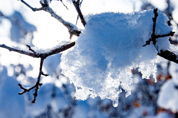 Snow Scapes on a sunny day