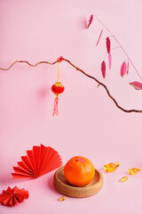 Mandarin, tree branches and Chinese symbols on pink background