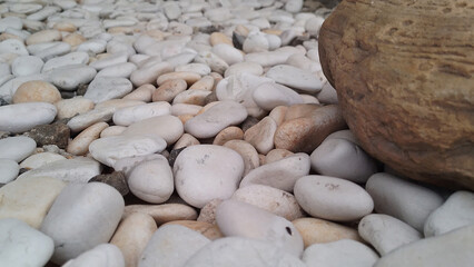 a pile of patterned brown stones amidst a pile of white, black and white stones, when a minority unites in the midst of a majority