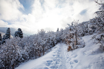 Fototapeta na wymiar Female hiking on a snow trail in the mountains