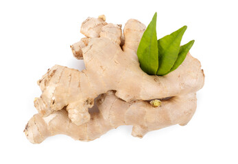 Fresh ginger roots and leaves on white background