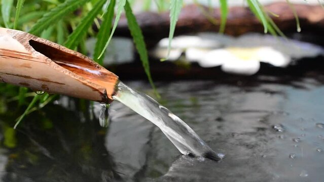 Water dripping, bamboo gutter pipe with marijuana leaves, spa concept