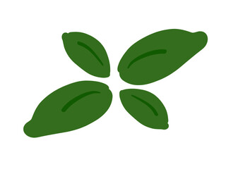 かわいいバジル／手描きイラスト素材