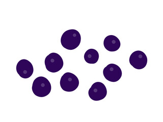 かわいいブルーベリーのフレーム／手描きイラスト素材