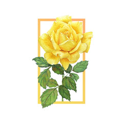 Watercolor Painting of Yellow Rose Frame