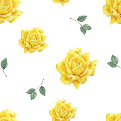 Watercolor Painting of Yellow Rose Background