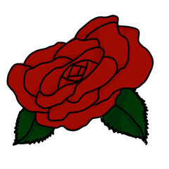 illustration of red rose