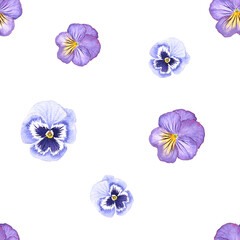 Purple Pansy Flower watercolor painting Seamless background