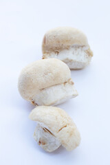 Fresh lion's mane mushroom on white background.
