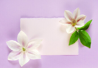flowers composition on purple background