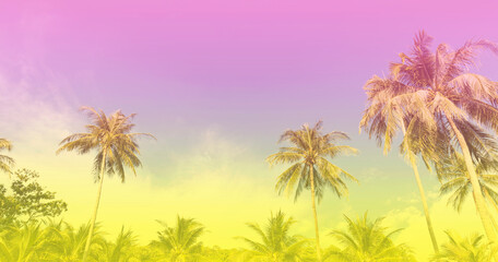 The Banner holiday of Summer with colorful theme as palm trees background as texture frame background
