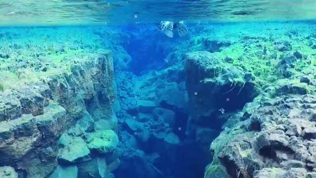 Diving in glacier water in Silfra, Iceland with reefs below