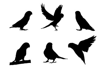 Set of silhouettes of love birds vector design