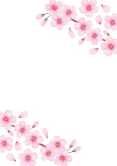 Naklejka na ściany i meble 春の美しい桜のフレーム背景素材