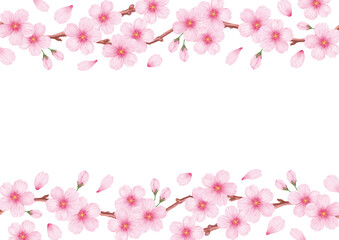 Obraz na płótnie Canvas 春の美しい桜のフレーム背景素材