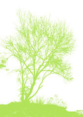 Tree silhouettes. Green branches of a tree. Vector illustration