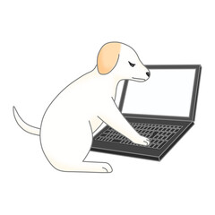 ノートパソコンを触る仔犬