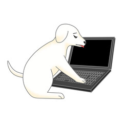 困っている白色の仔犬と黒色のノートパソコン