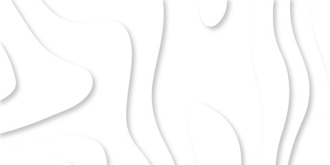 Abstract Luxury paper cut background, Abstract decoration, white pattern lines gradients, 3d Vector illustration, topographic canyon map light relief texture, curved layers.