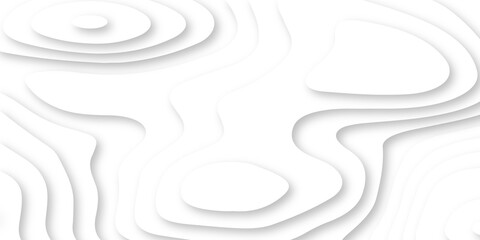 Abstract Luxury paper cut background, Abstract decoration, white pattern lines gradients, 3d Vector illustration, topographic canyon map light relief texture, curved layers.