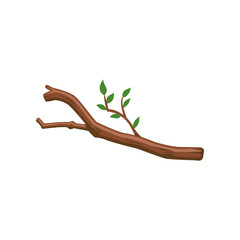 Tree branch with leaves vector illustration. Cartoon drawing of part of tree, wood, timber and lumber isolated on white background. Construction materials, forestry concept