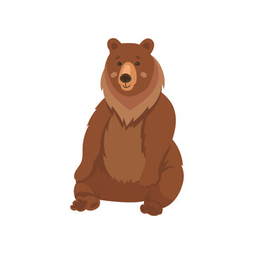 Wild brown bear sitting flat vector illustration. Drawing of cute comic grizzly bear cartoon character isolated on white background. Wildlife, nature concept
