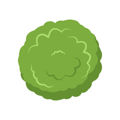 Top view of green bush or tree crown vector illustration. Plant element for garden, forest or park plan or map isolated on white background. Ecology, landscape design concept