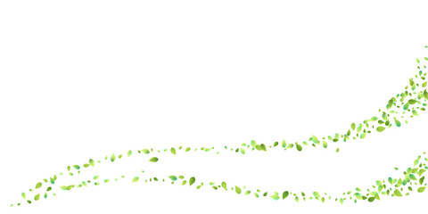 Leaves Green Falling Flying Foliage Leaf Tea Mint