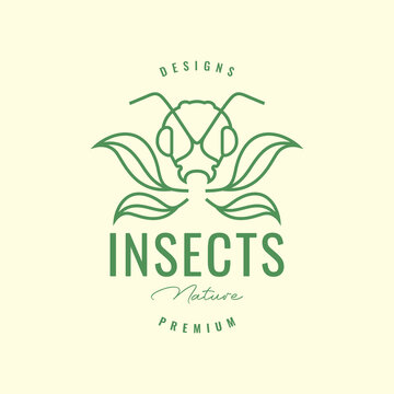 insect ant head antenna animal leaves grass hipster logo design vector icon illustration template