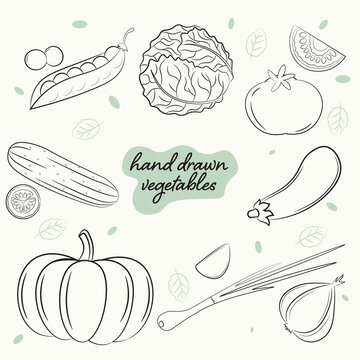 a set images of hand drawn fresh vegetables