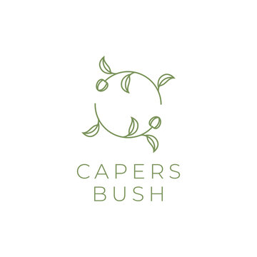 caper bush plant leaves fruit green circle line logo design vector icon illustration template
