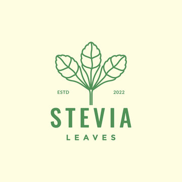 candyleaf stevia leaf plant herbal health green hipster logo design vector icon illustration template