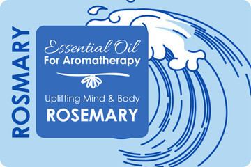Rosemary essential oil for aromatherapy vector