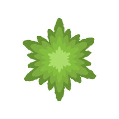Top view of green coniferous tree vector illustration. Plant element for garden, forest or park plan or map isolated on white background. Ecology, landscape design concept