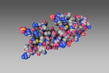 Human defensin-5. Space-filling molecular model on gray background. Rendering based on protein data bank entry 1zmp. Scientific background. 3d illustration