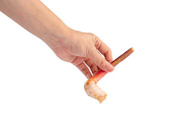 Hand and fresh slices galangal rhizomes (Alpinia galanga) on transparent background.