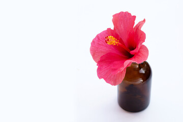 Hibiscus flower on white background.
