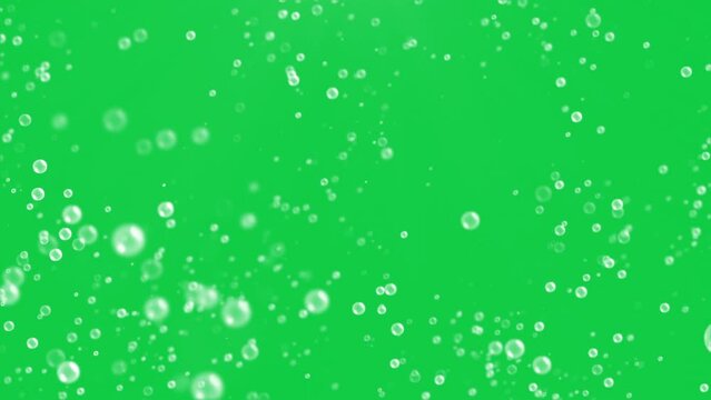 rising white water bubbles green screen background