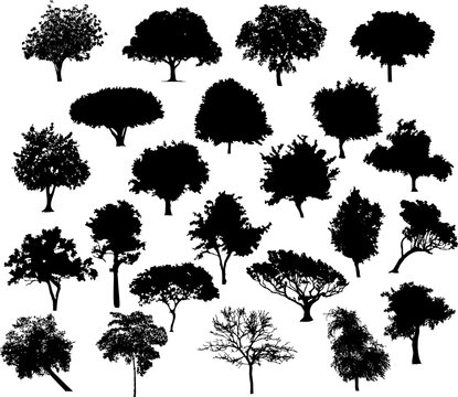 set of trees silhouettes transperant background