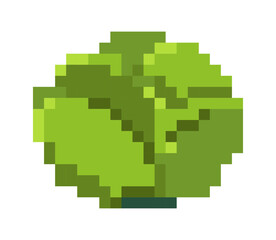 Pixel cabbage vegetable, product and greenery