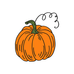 Pumpkin. Flat color icon. Thanksgiving design. Autumn pumpkin.