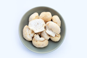 Fresh lion's mane mushroom on white background