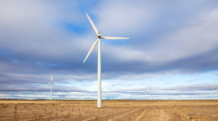 Windmill- wind turbine in wheat fiel and cloudy