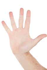Closeup hand, palm and high five by white background with sign language, communication and stop warning. Isolated hand sign, wave and hello with fingers for friendly greeting, support or motivation
