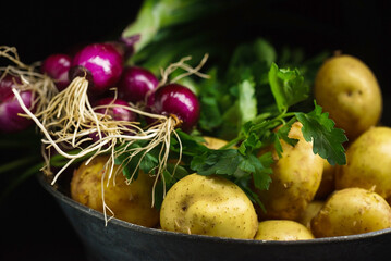 fresh vegetables on the dark background