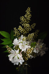 white flowers on the black background