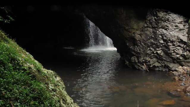 View of the waterfall in Natural Bridge, Springbrook National Park, Gold Coast Hinterland, Australia