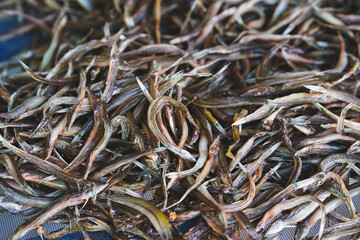 Dried small fish is a food processing in Thailand.