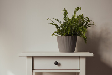 White bedside table with plant, close-up